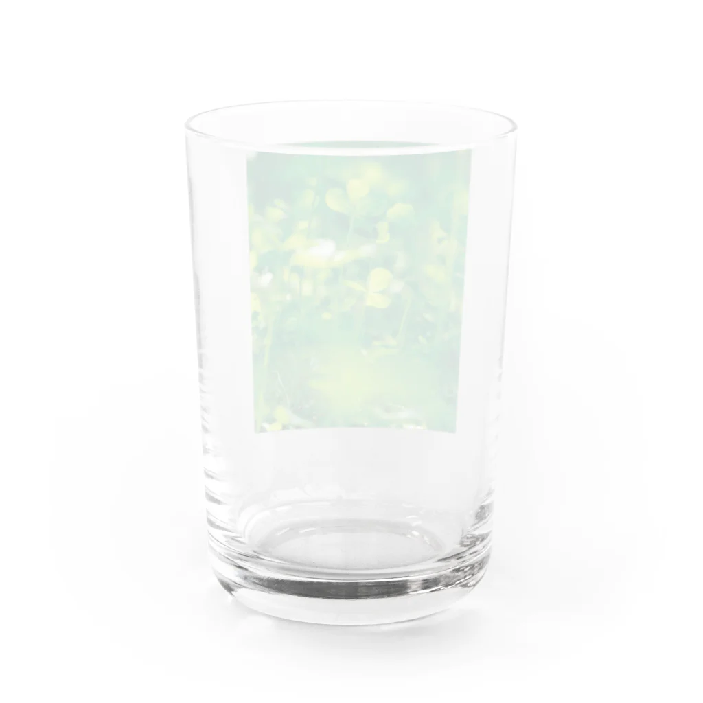 akane_art（茜音工房）の癒しの風景（クローバー） Water Glass :back