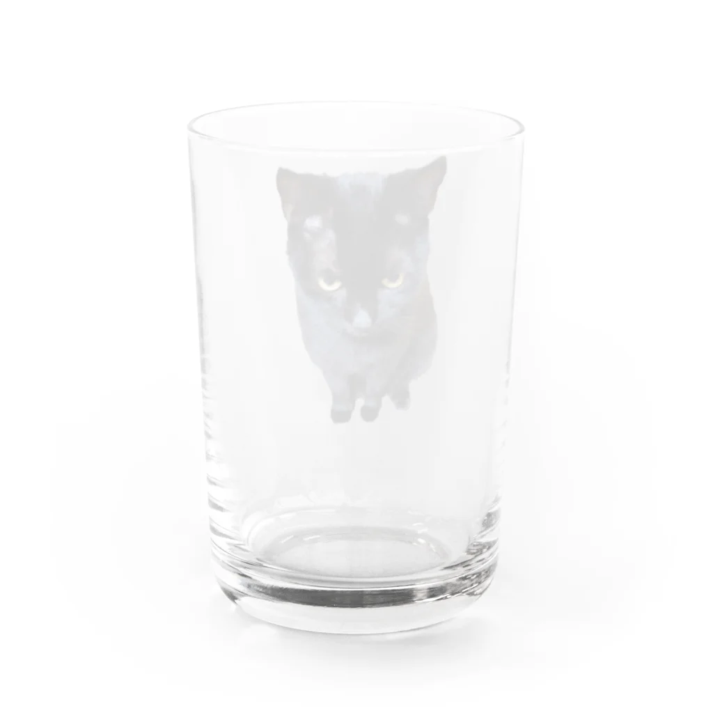 黒猫Onlyの黒猫2 Water Glass :back