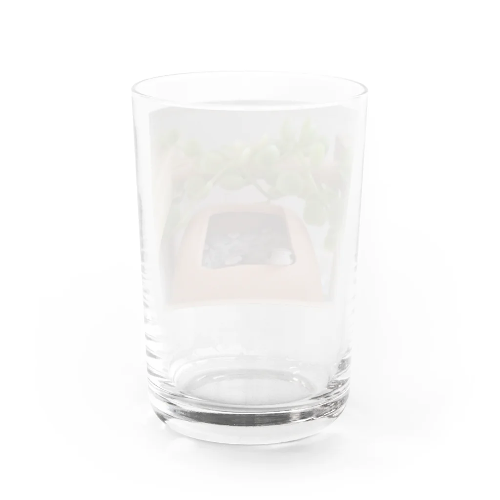 ルエールさんの無双shopのちぃちゃいルエールさん Water Glass :back