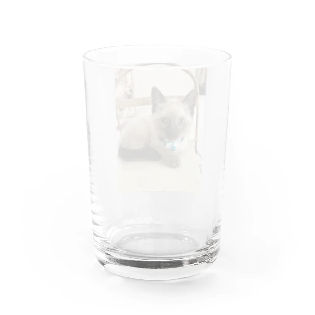 モカちゃんのMoca  Water Glass :back