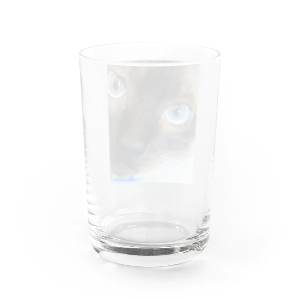 モカちゃんのMacaちゃん Water Glass :back