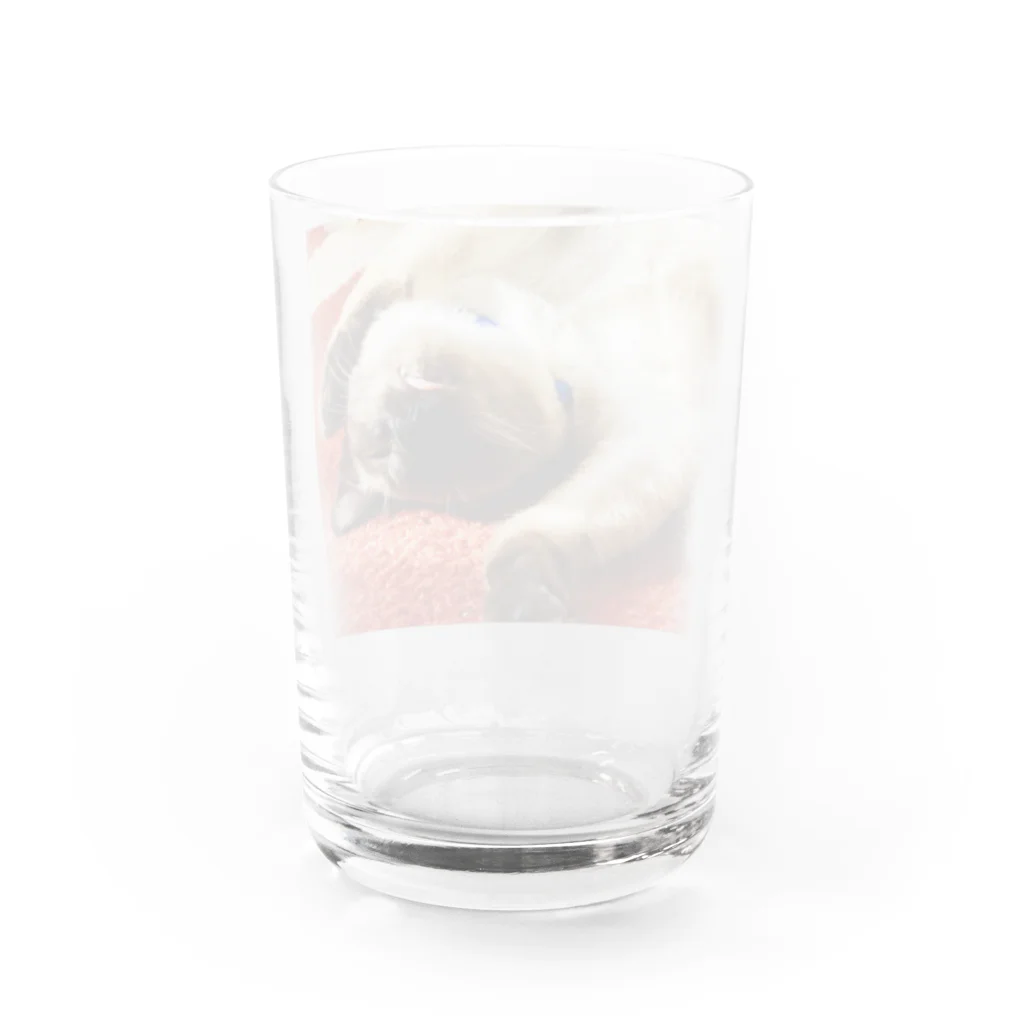 モカちゃんのモカの舌　出しっぱなしシリーズ Water Glass :back