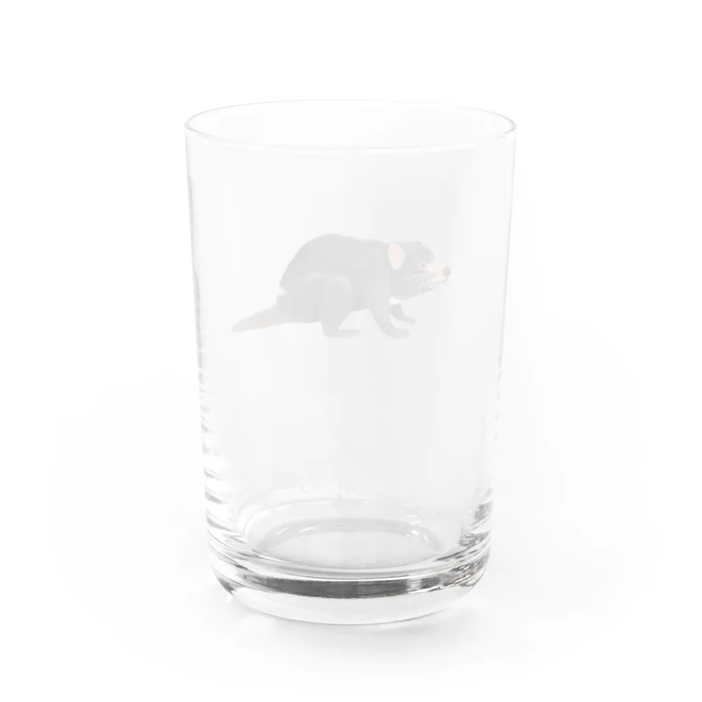 🐶シュナといろいろ🎨のタスマニアデビル Water Glass :back