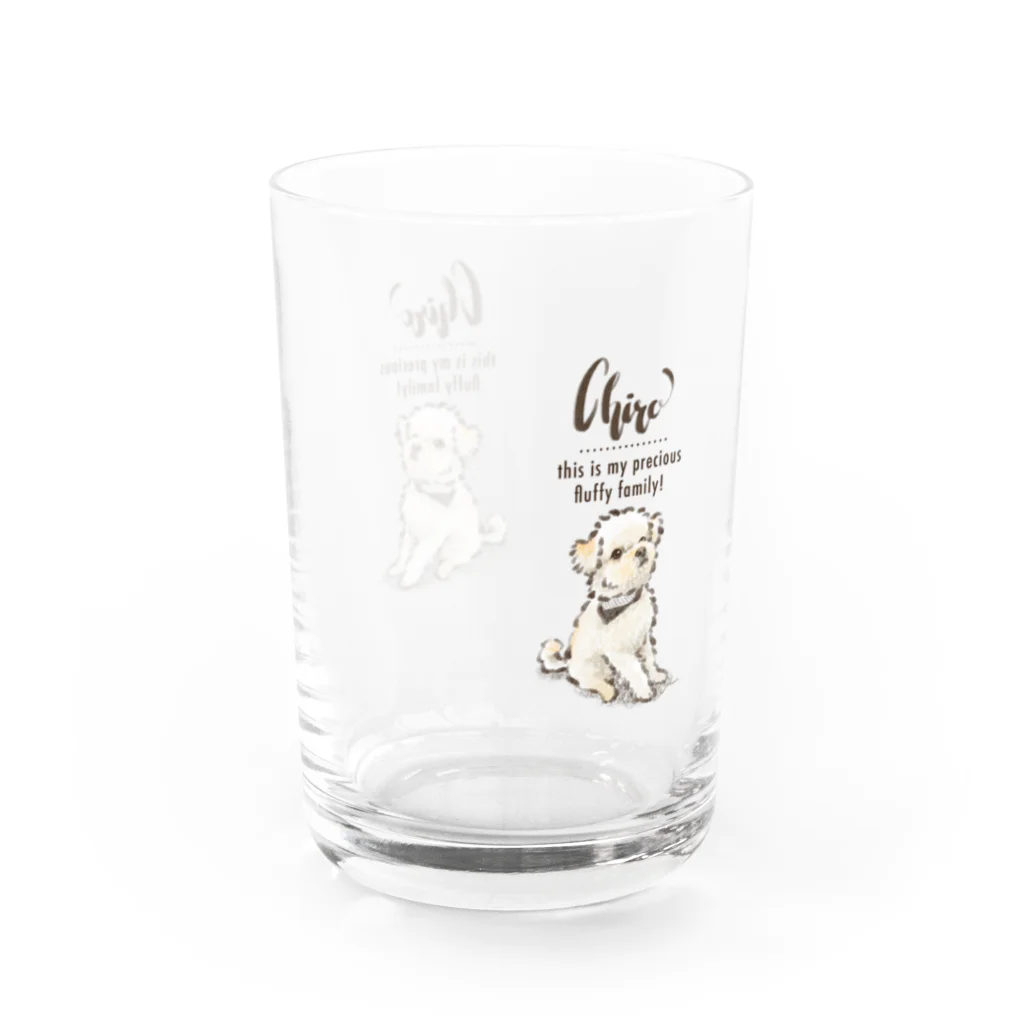 noco createのchiro Water Glass :back