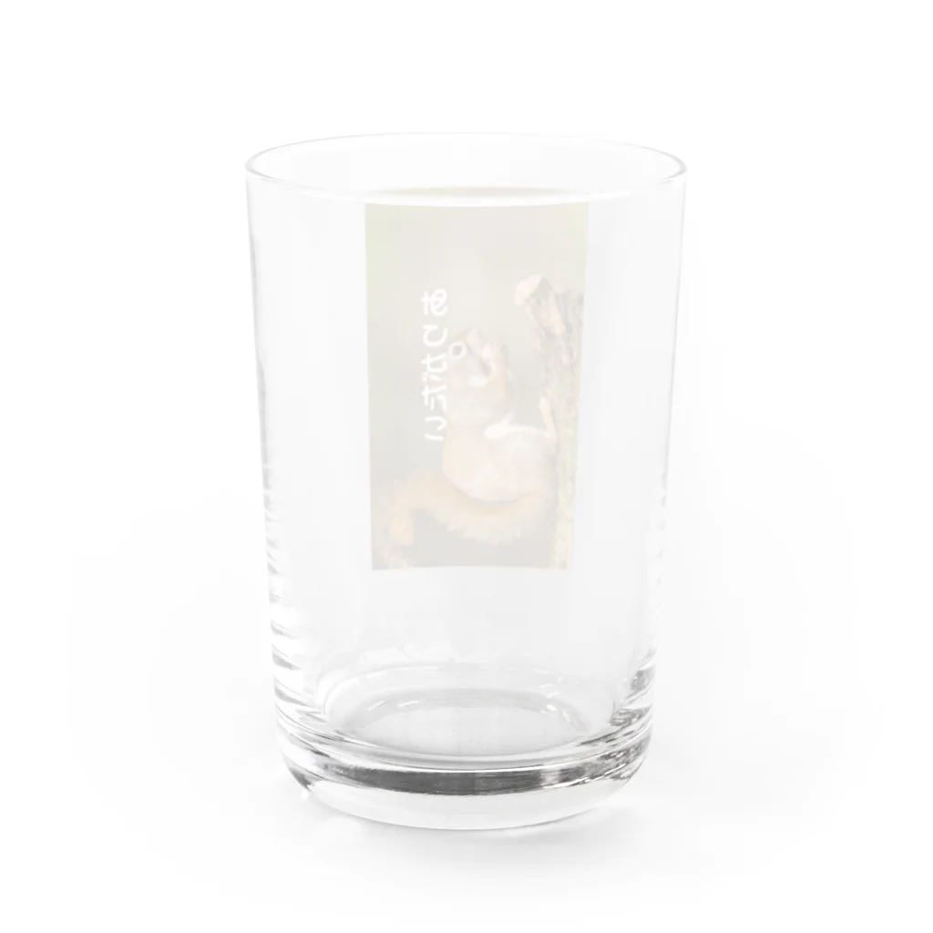 ミラくまのありがたい-リス Water Glass :back