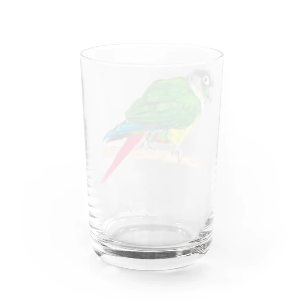 森図鑑の[森図鑑] ウロコインコC 横向き Water Glass :back