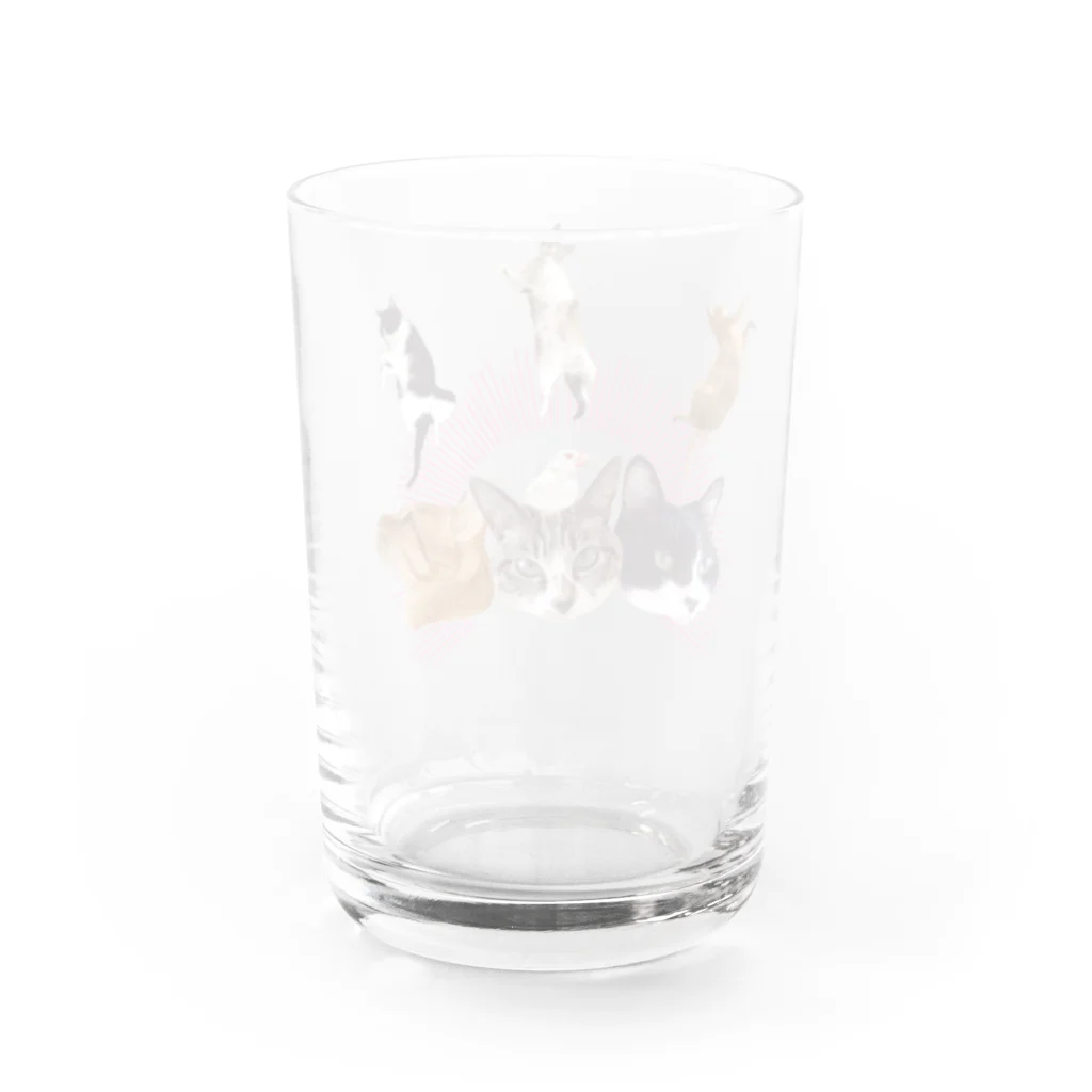 エビなしエビフライのうち猫崇拝<ピンク> Water Glass :back