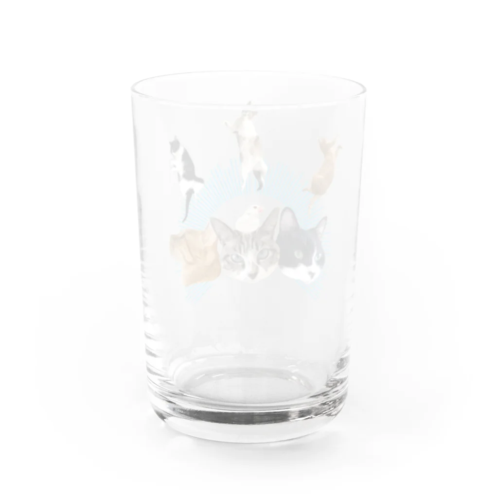 エビなしエビフライのうち猫崇拝<ブルー> Water Glass :back