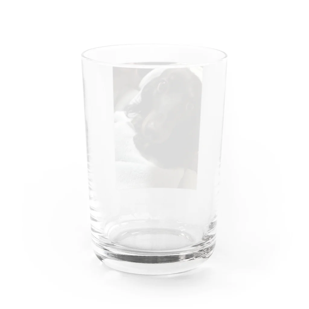 Sakupon1117のチョコ Water Glass :back