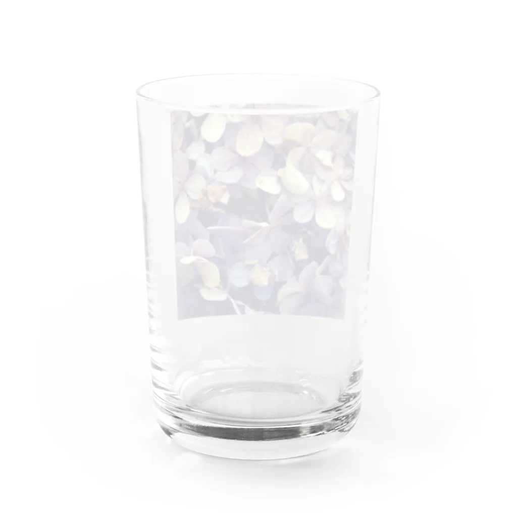 nostalgia のhydrangea Water Glass :back