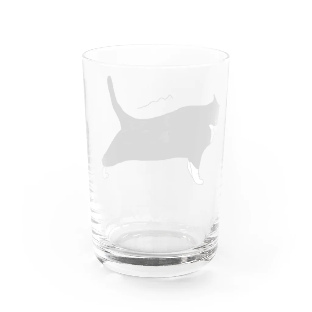 小鳥と映画館の伸びをするハチワレちゃん Water Glass :back