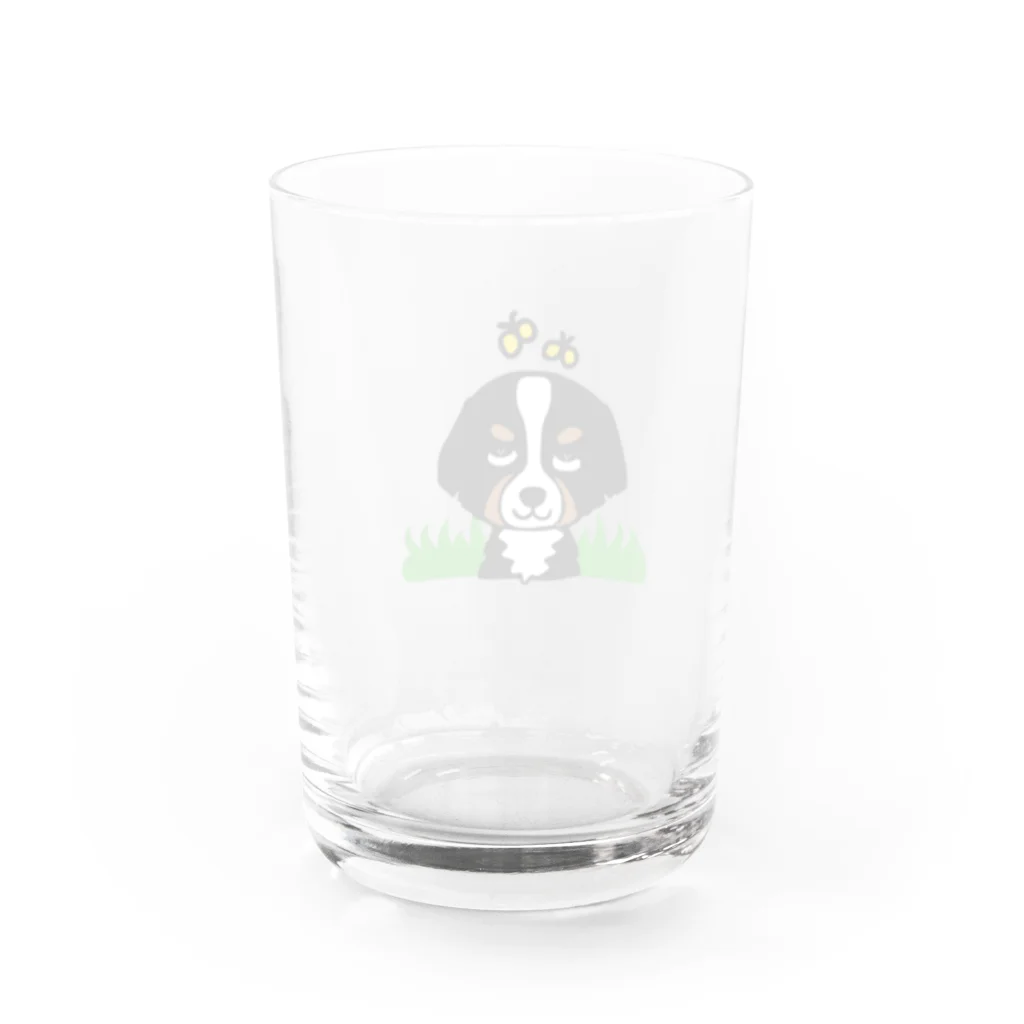 ラッキーアイテムの仲間たちのラッキーアイテムはバーニーズです。 Water Glass :back