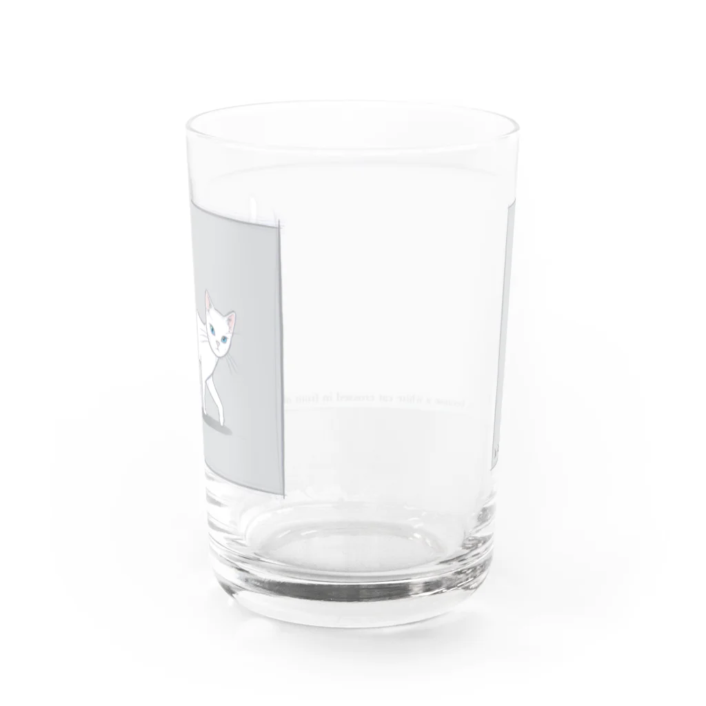 ハナイとトンの猫が目の前を横切った（白猫） Water Glass :back