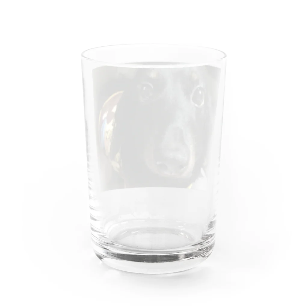 Sakupon1117のチョコ Water Glass :back