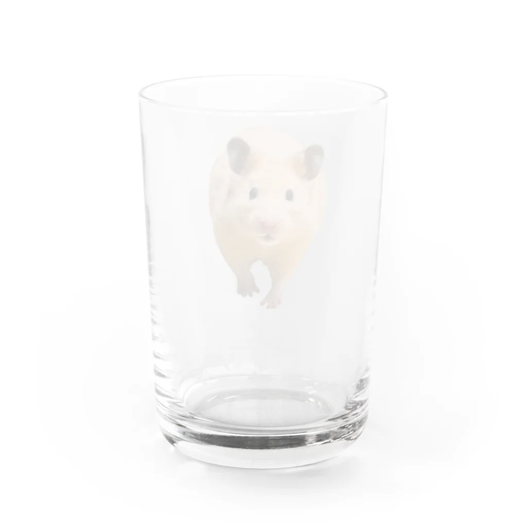 めんち商店のキンクマハムスターのめんち２ Water Glass :back