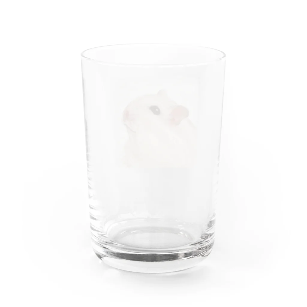 momosanoのハムスターのウリちゃん Water Glass :back