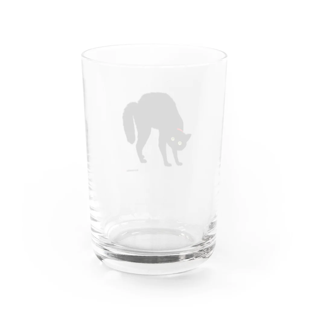 小鳥と映画館の赤い首輪のツンな黒猫ちゃん Water Glass :back