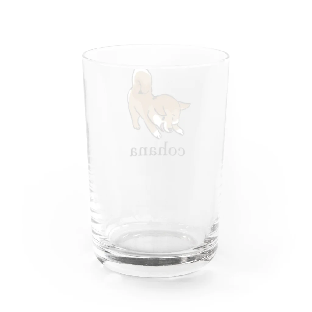 ホンイチの豆柴のこはな　うれしい Water Glass :back