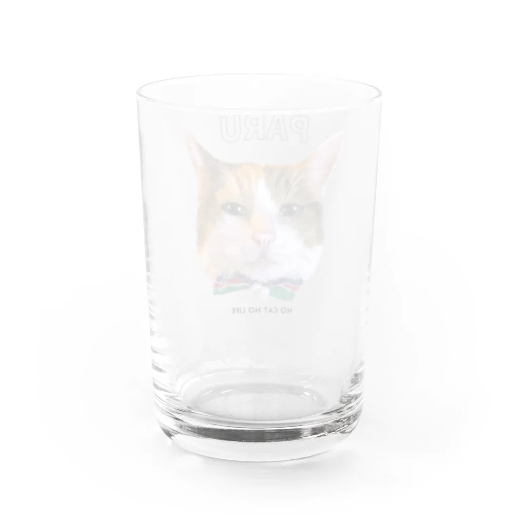 猫のイラスト屋さんのPARU Water Glass :back