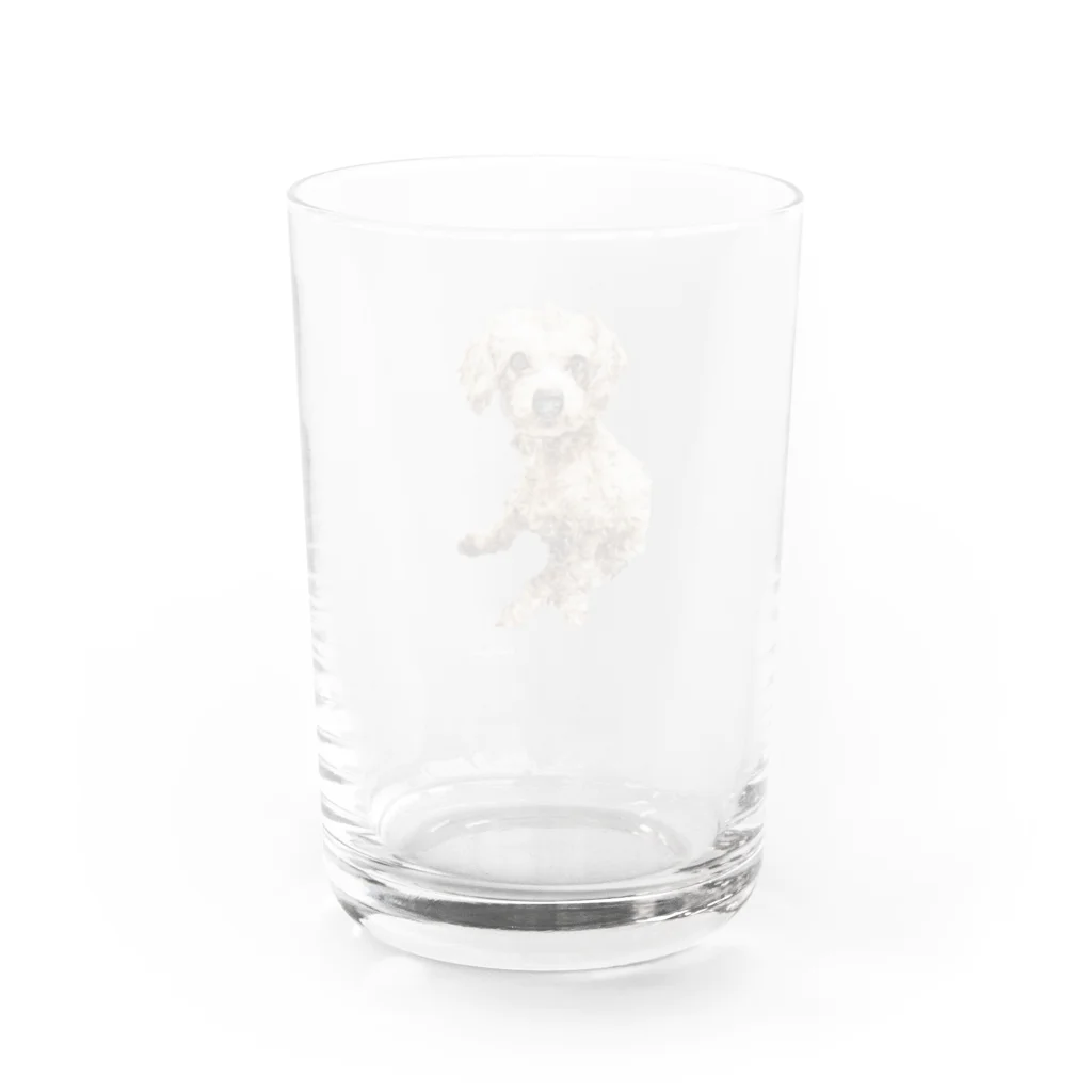 Ru.xxxのトイプードル☆Ru Water Glass :back