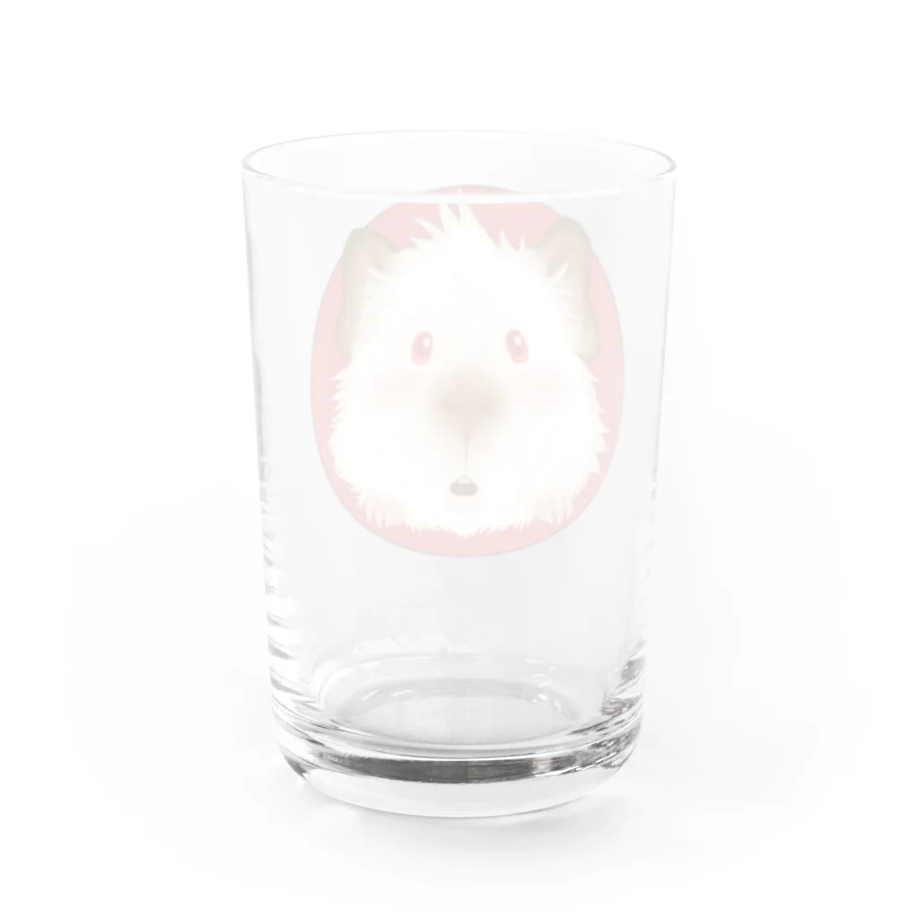 【モルモット】Mugi & Ruki【四国犬】のヒマラヤン モルモット君 Water Glass :back