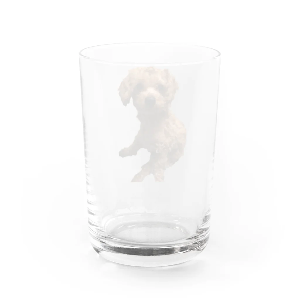 Ru.xxxのトイプードル☆Ru. Water Glass :back