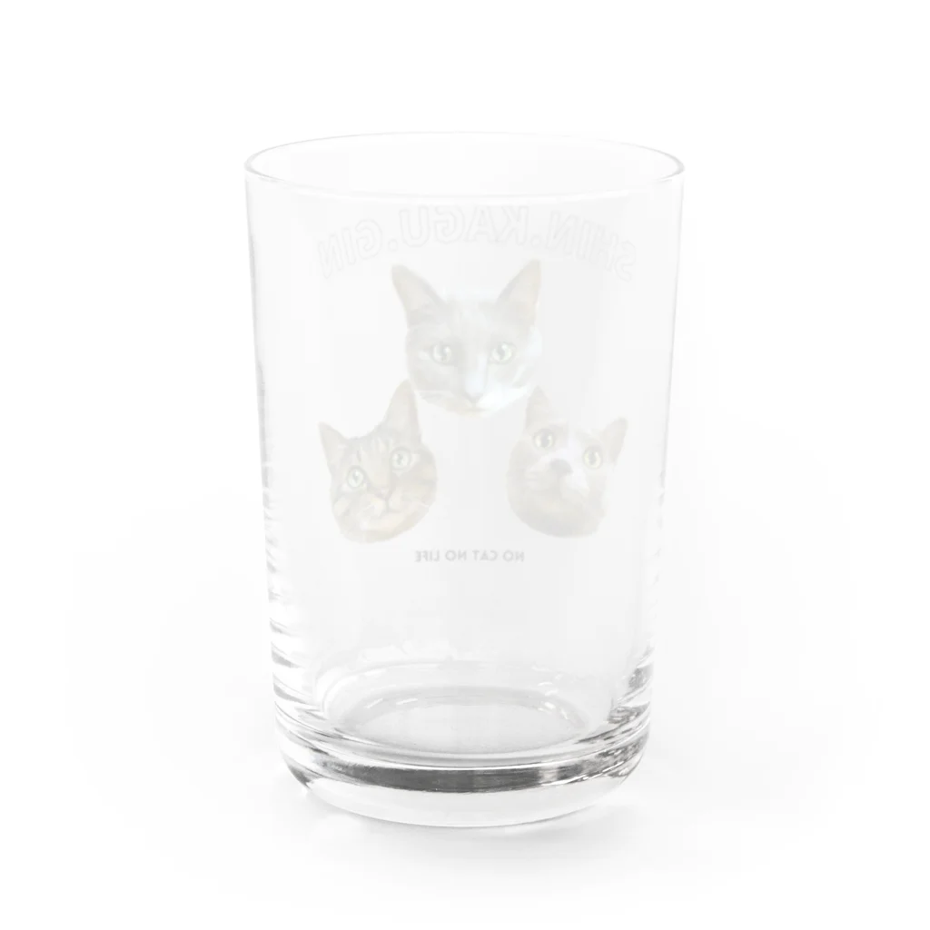 猫のイラスト屋さんのshin & kagu & gin Water Glass :back