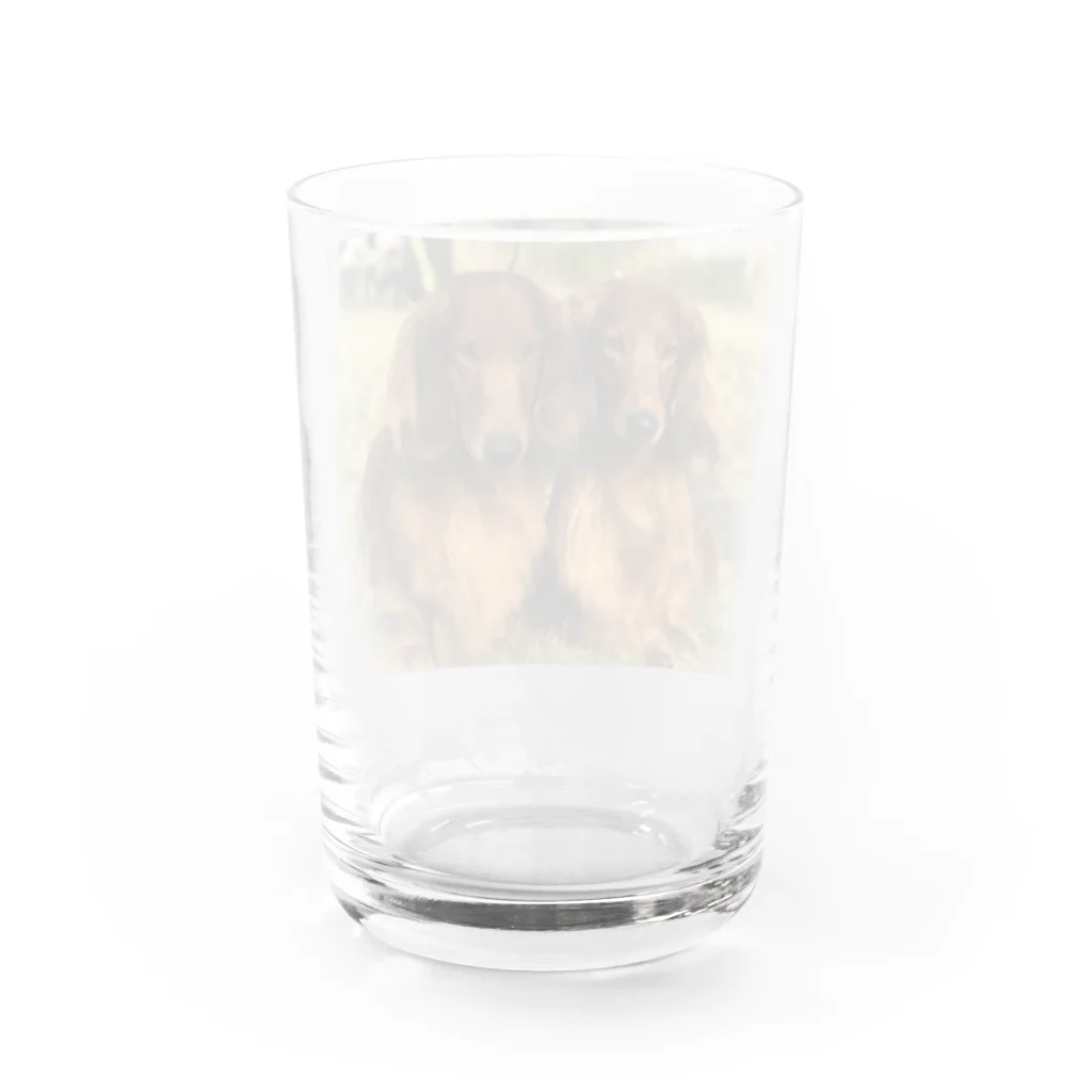 ドッグハウスベティのスタンダードダックス兄妹 Water Glass :back