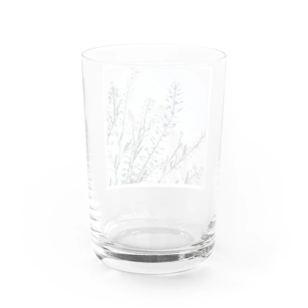 blancillaの揺れる花 Water Glass :back