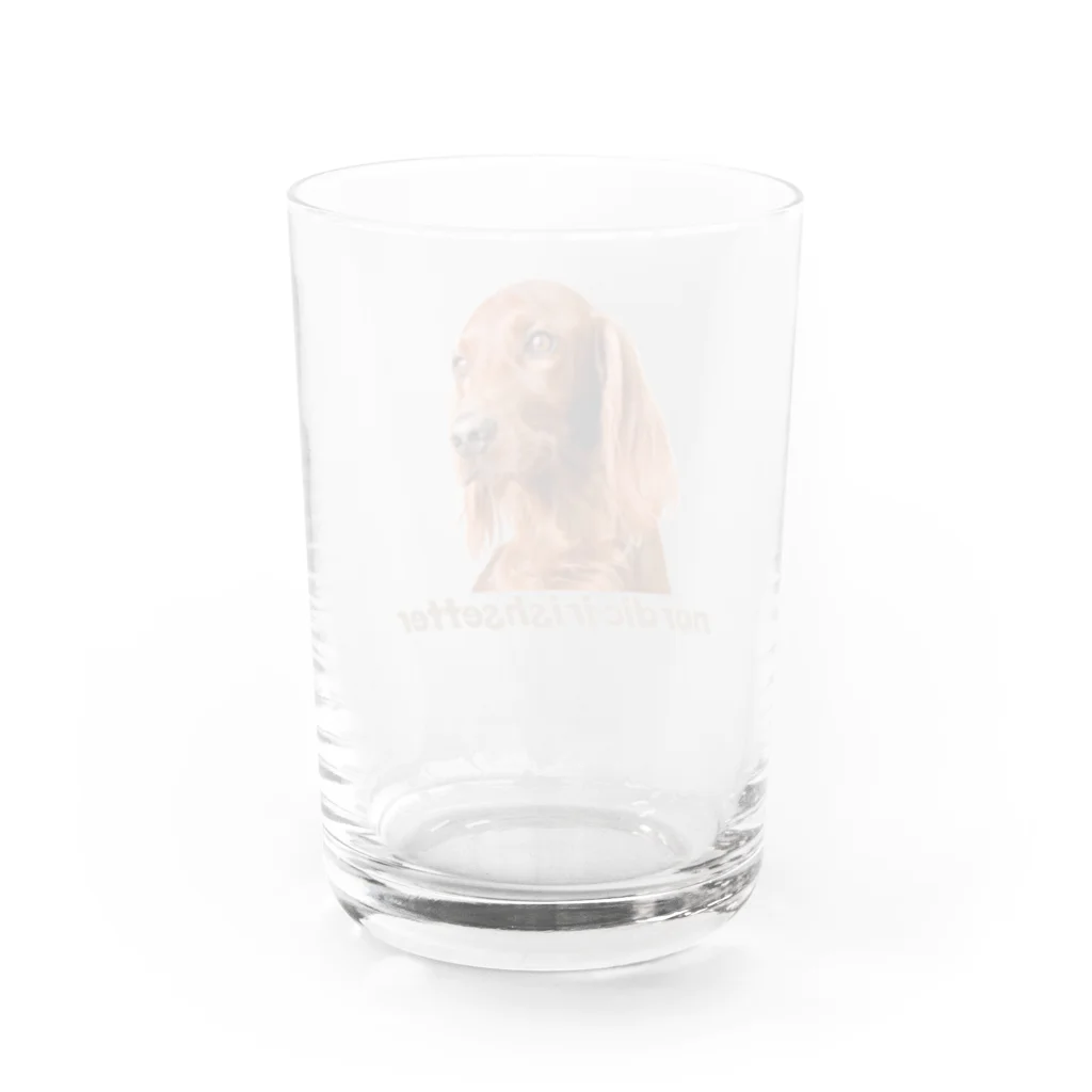 nordic_irishsetterのシンプルノルディック Water Glass :back