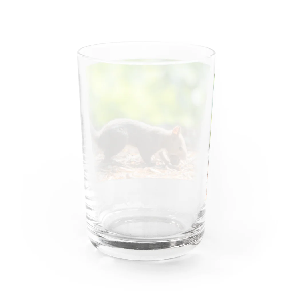 北海道アニマルグッズの元気いっぱいのエゾリス！ Water Glass :back