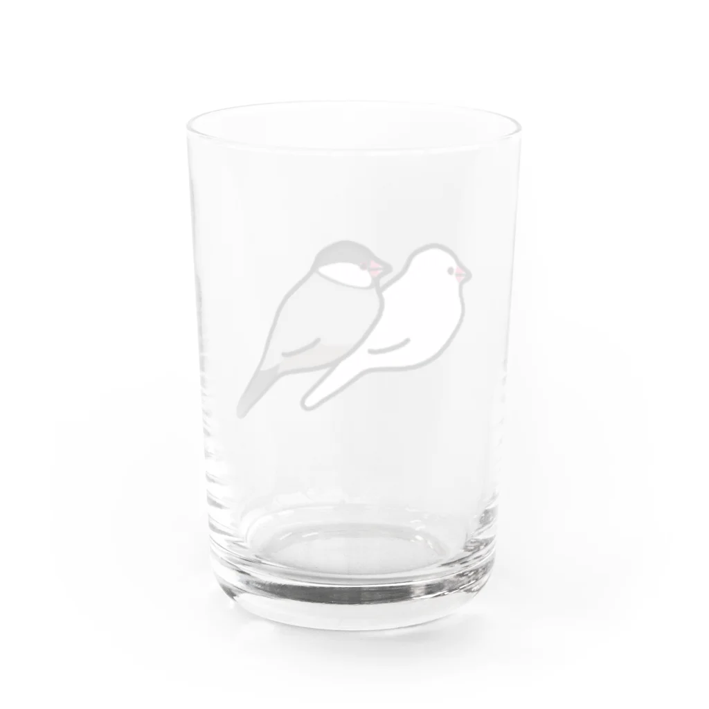 Oshiboriの白文鳥と桜文鳥 Water Glass :back