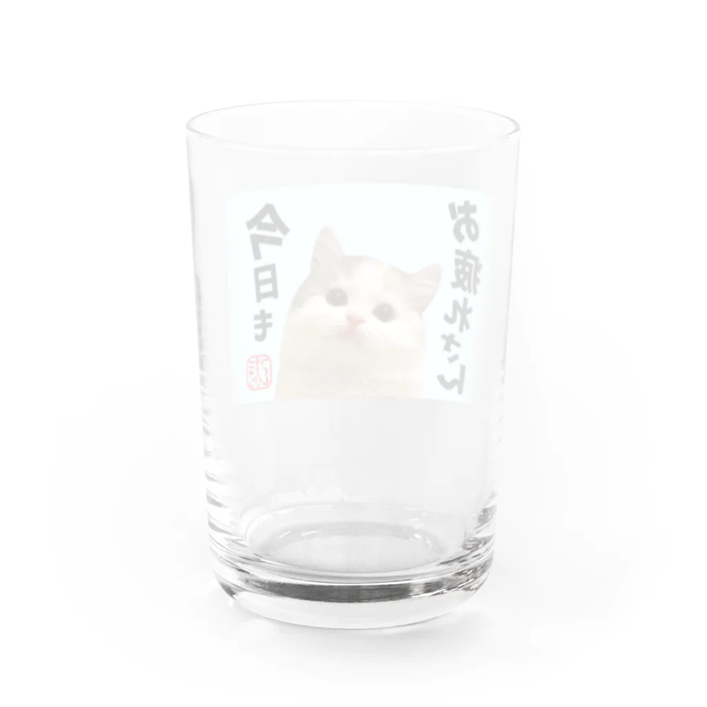 ニャンチューバーつくし【公式グッズ】のつくしグラス【ニャンチューバーつくし】 Water Glass :back