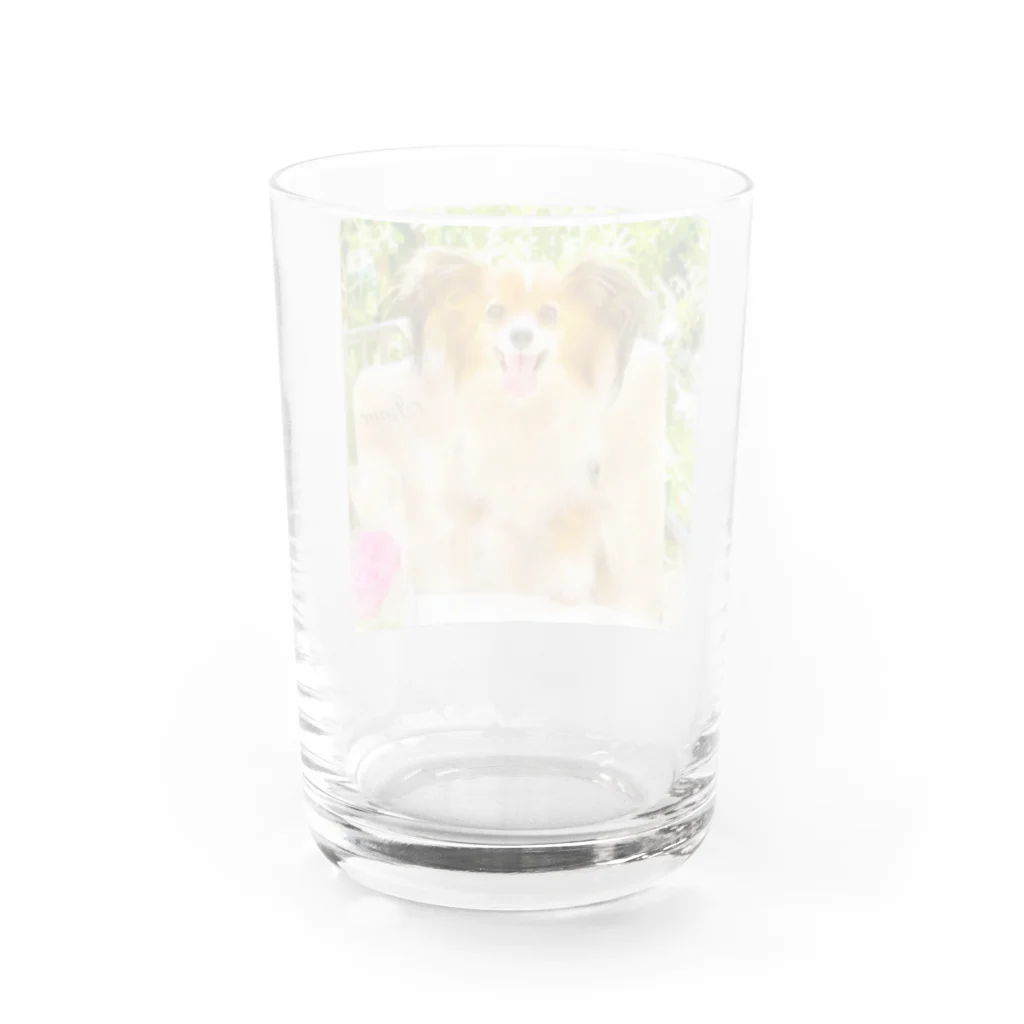 クリアスペットのisaac_dogstagram Water Glass :back