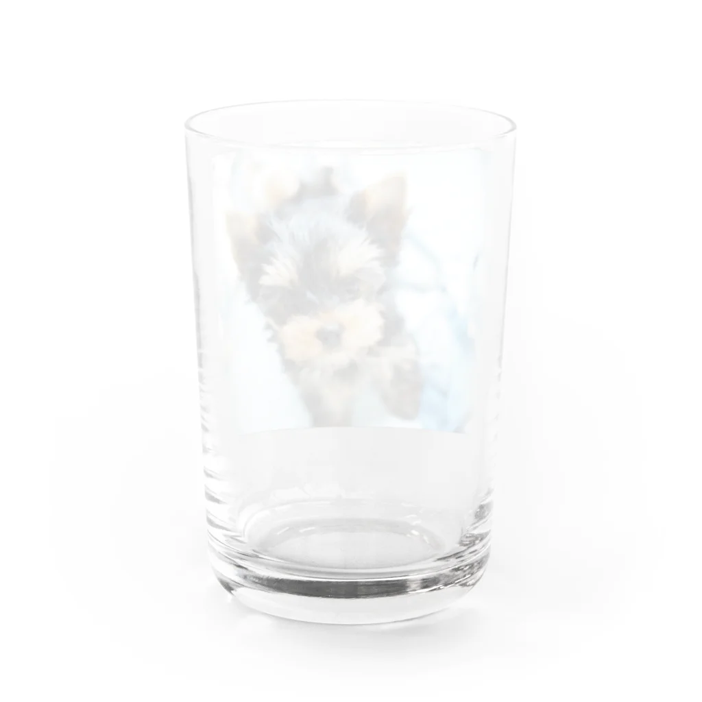 ららにこお洋服𑁍܀のあかちゃんにこちゃん Water Glass :back