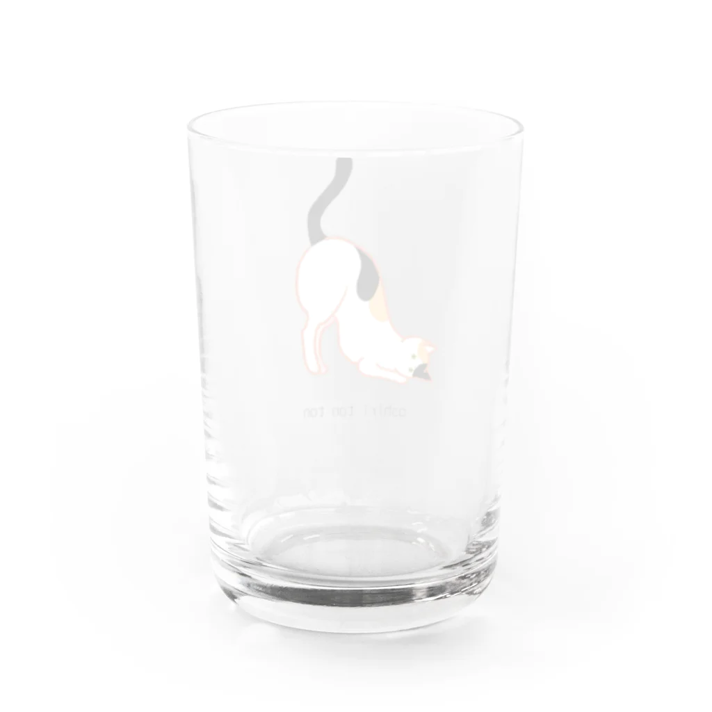 107のお尻トントン要求ねこちゃん Water Glass :back