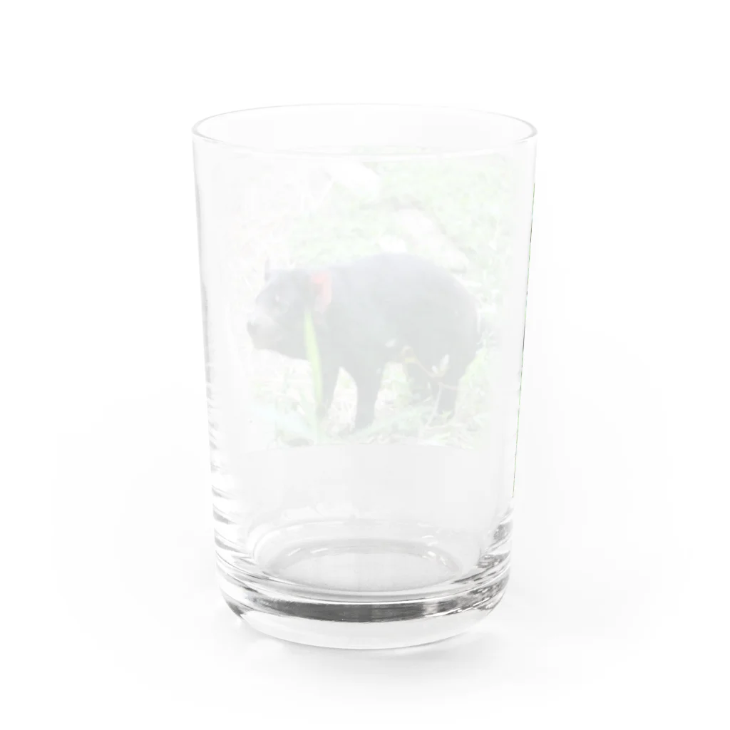 三毛猫のハシモトのタスマニアデビル(横) Water Glass :back