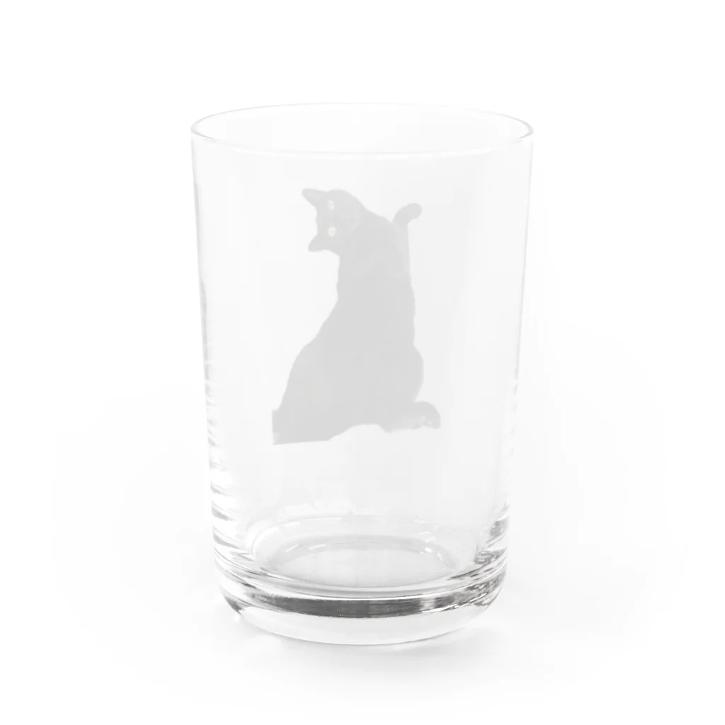 MiYABiの仰向けの猫 Water Glass :back