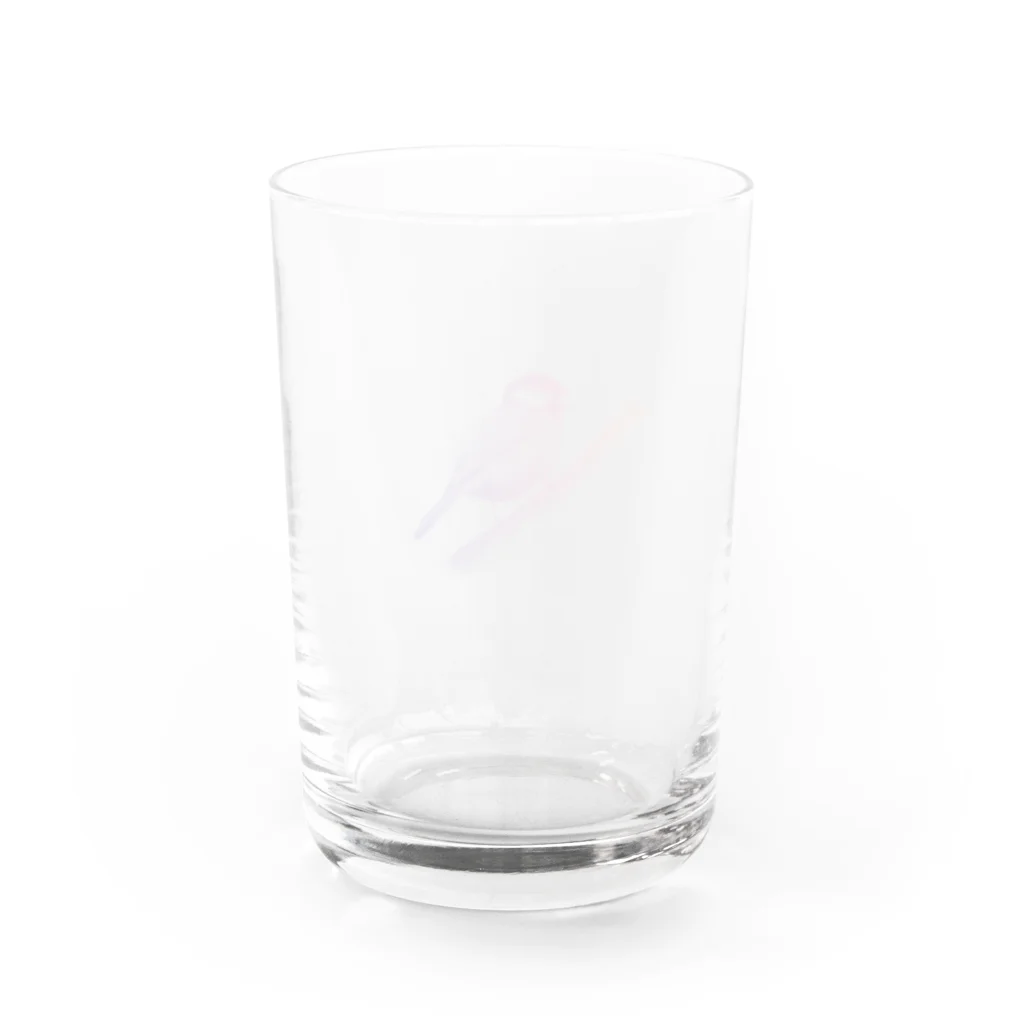 b-rec.のシジュウカラ_01_B002 Water Glass :back