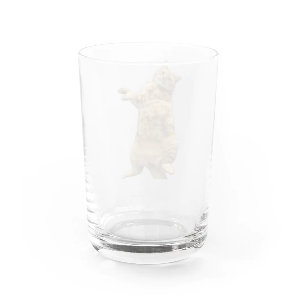 ビス屋のビスくん Water Glass :back