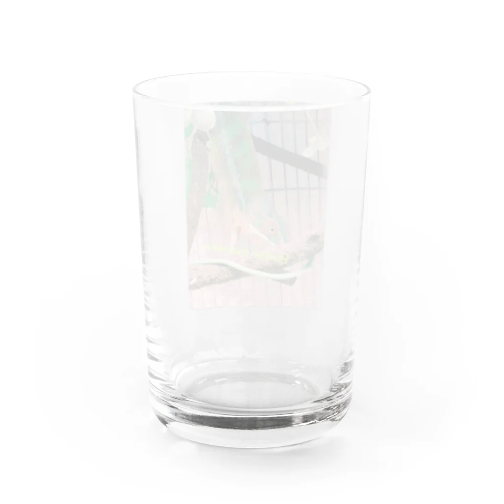 ruka2825のぱんくん Water Glass :back