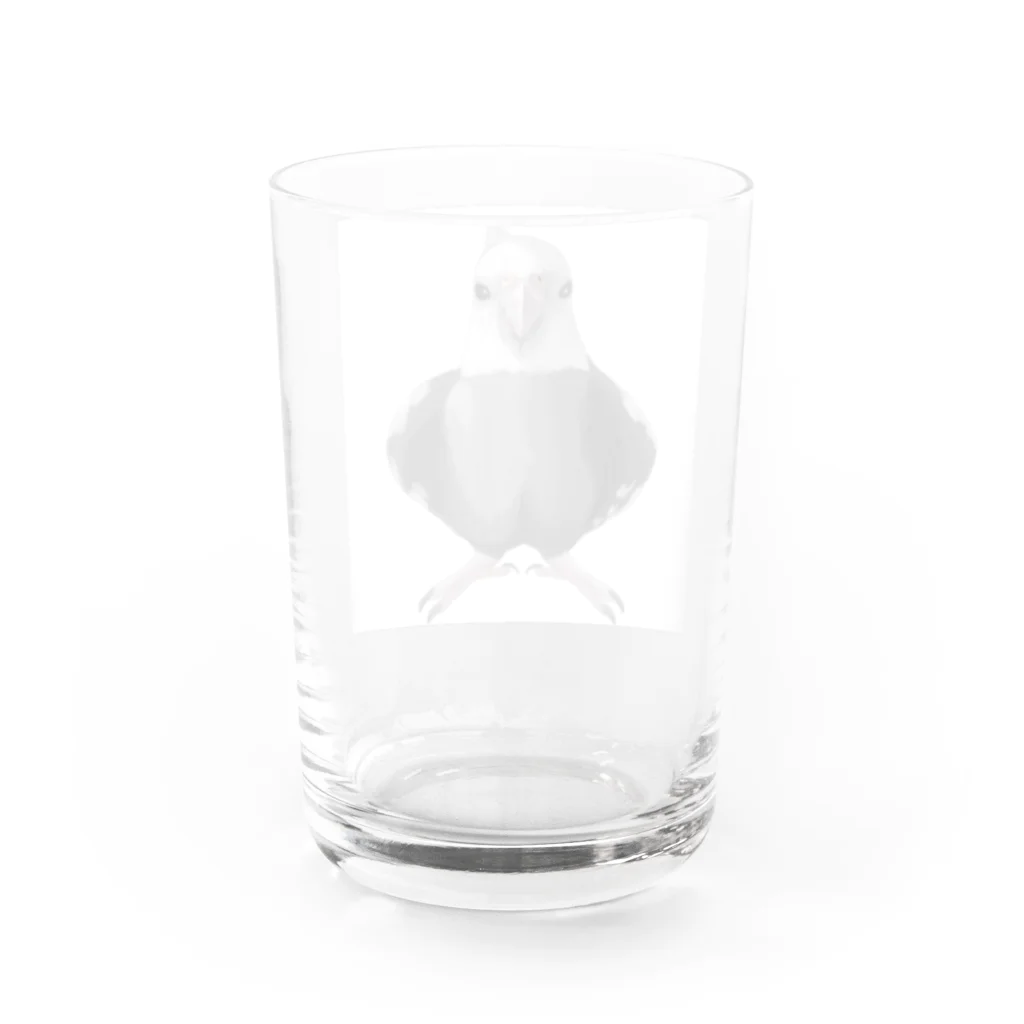 こいんこ堂のホワイトフェイス⭐so  cool!  Water Glass :back