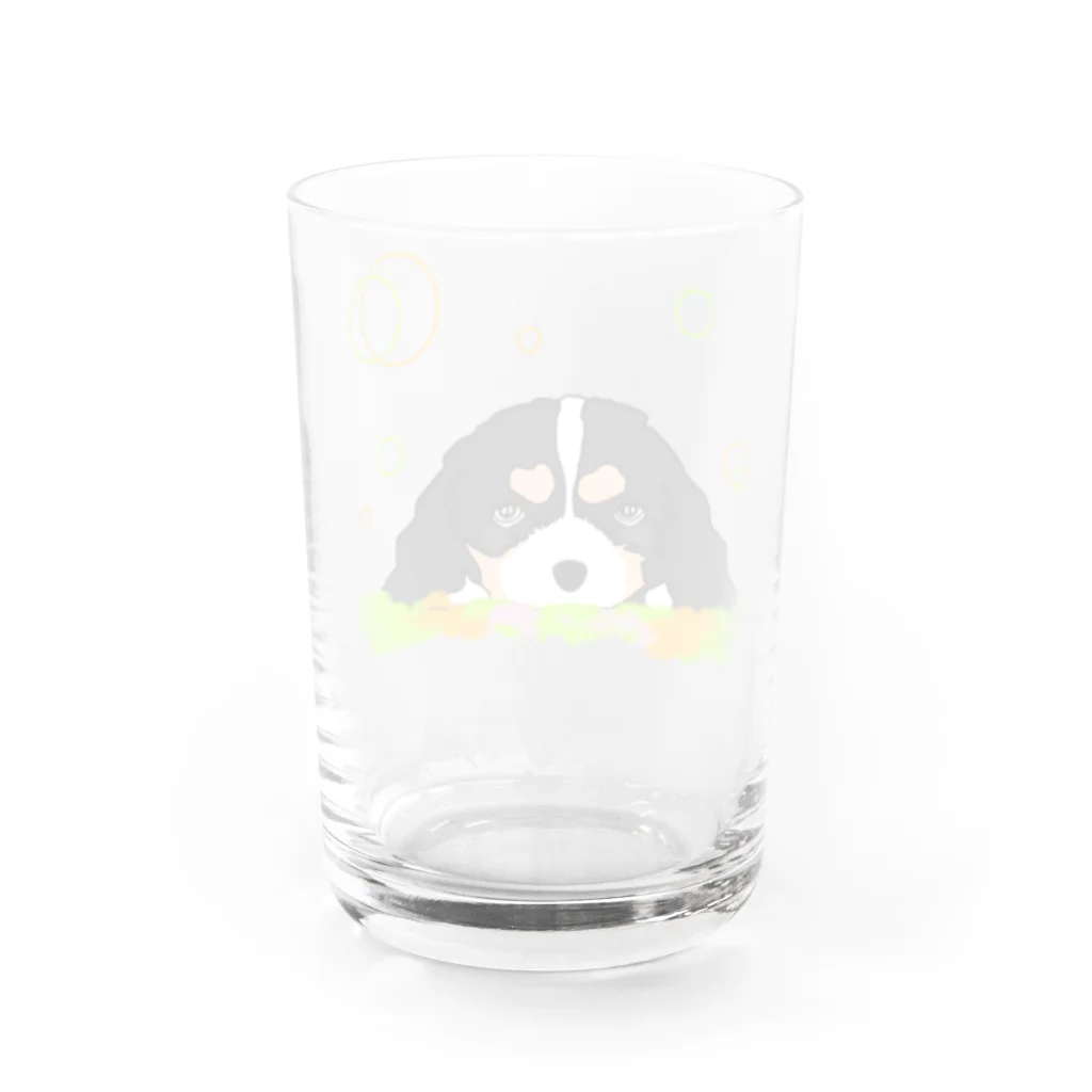 greetenのキャバリアトライカラー癒し犬 Water Glass :back