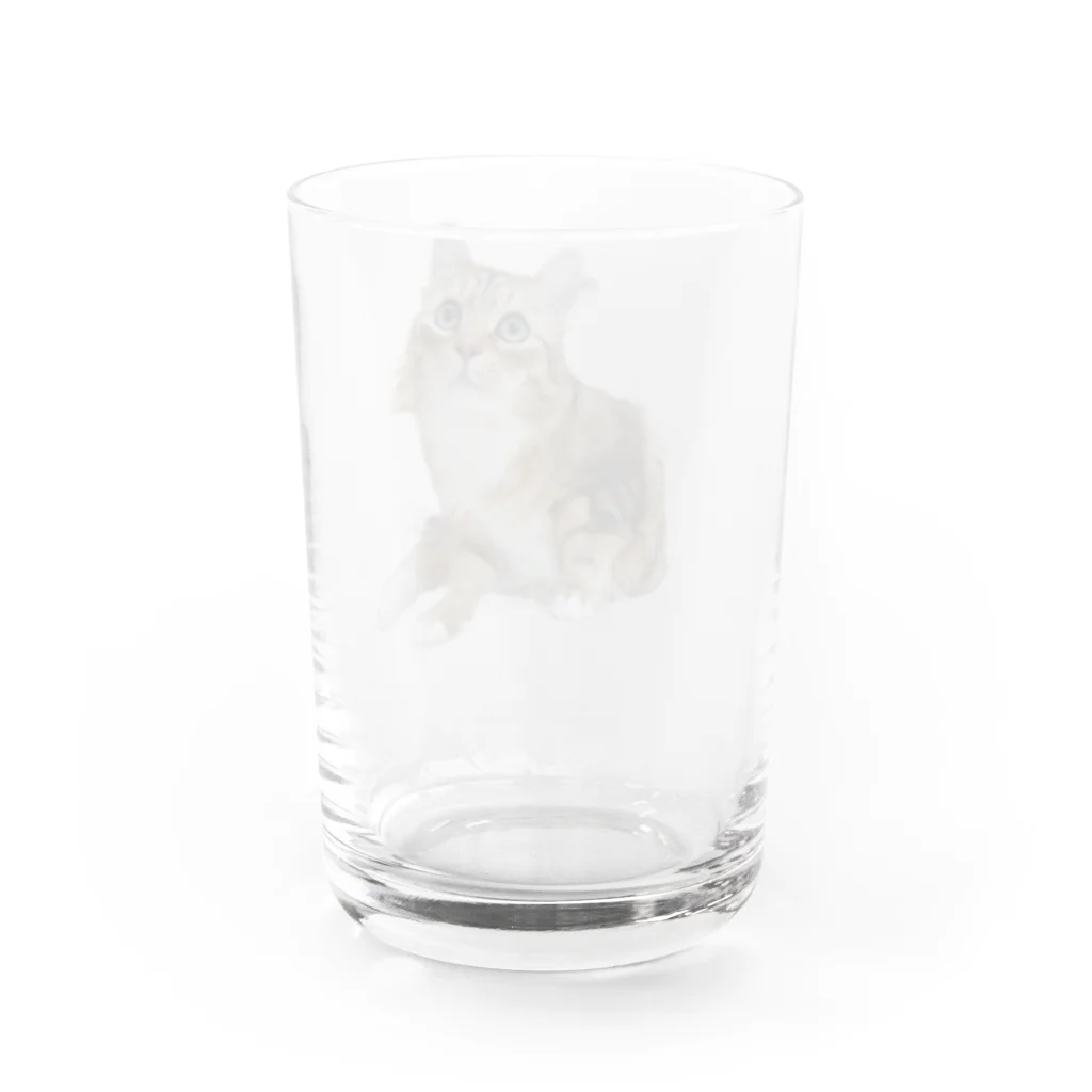 サクボウのめがくりくりのサックン Water Glass :back