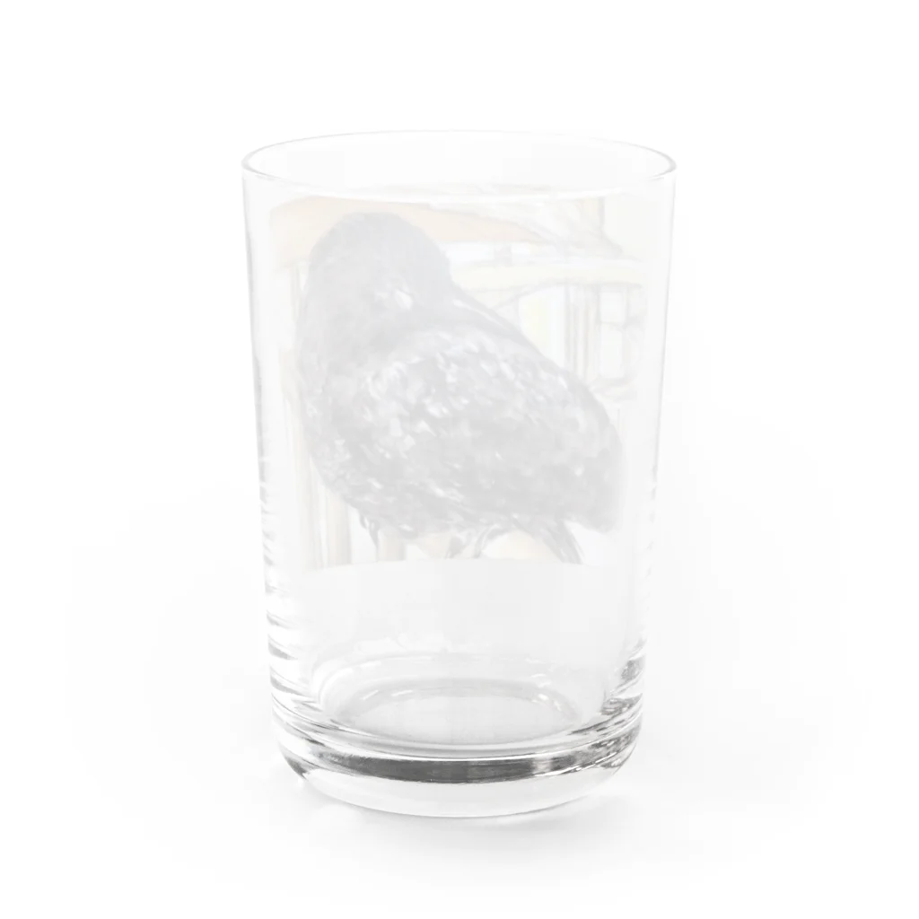 パート主婦しずかのオリジナルイラストグッズのカラスのハッピー Water Glass :back