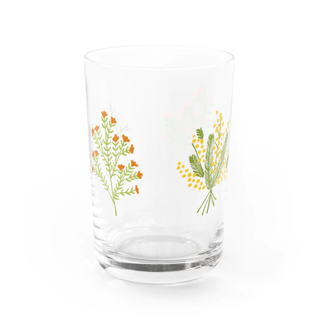 かぼすだちのお店のかわいい植物 Water Glass :back