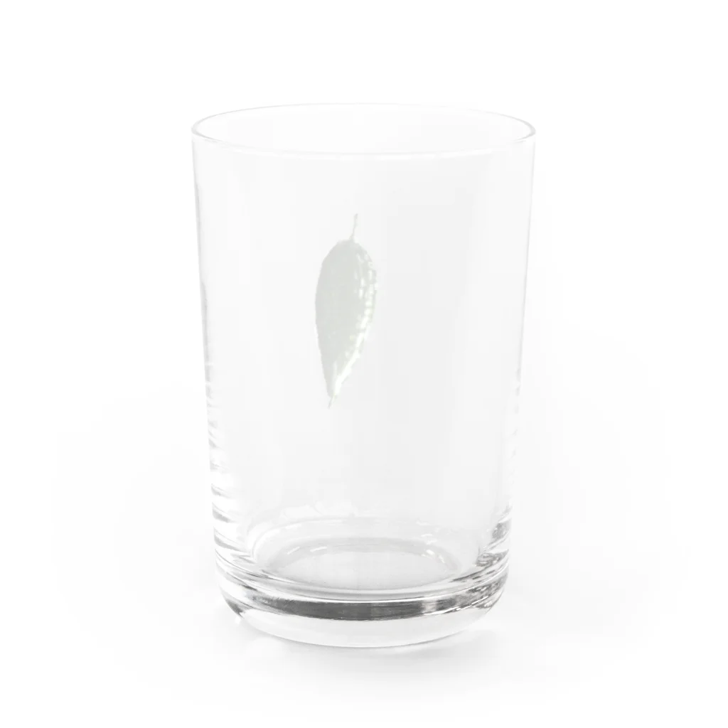 nanaのゴーヤ好き Water Glass :back