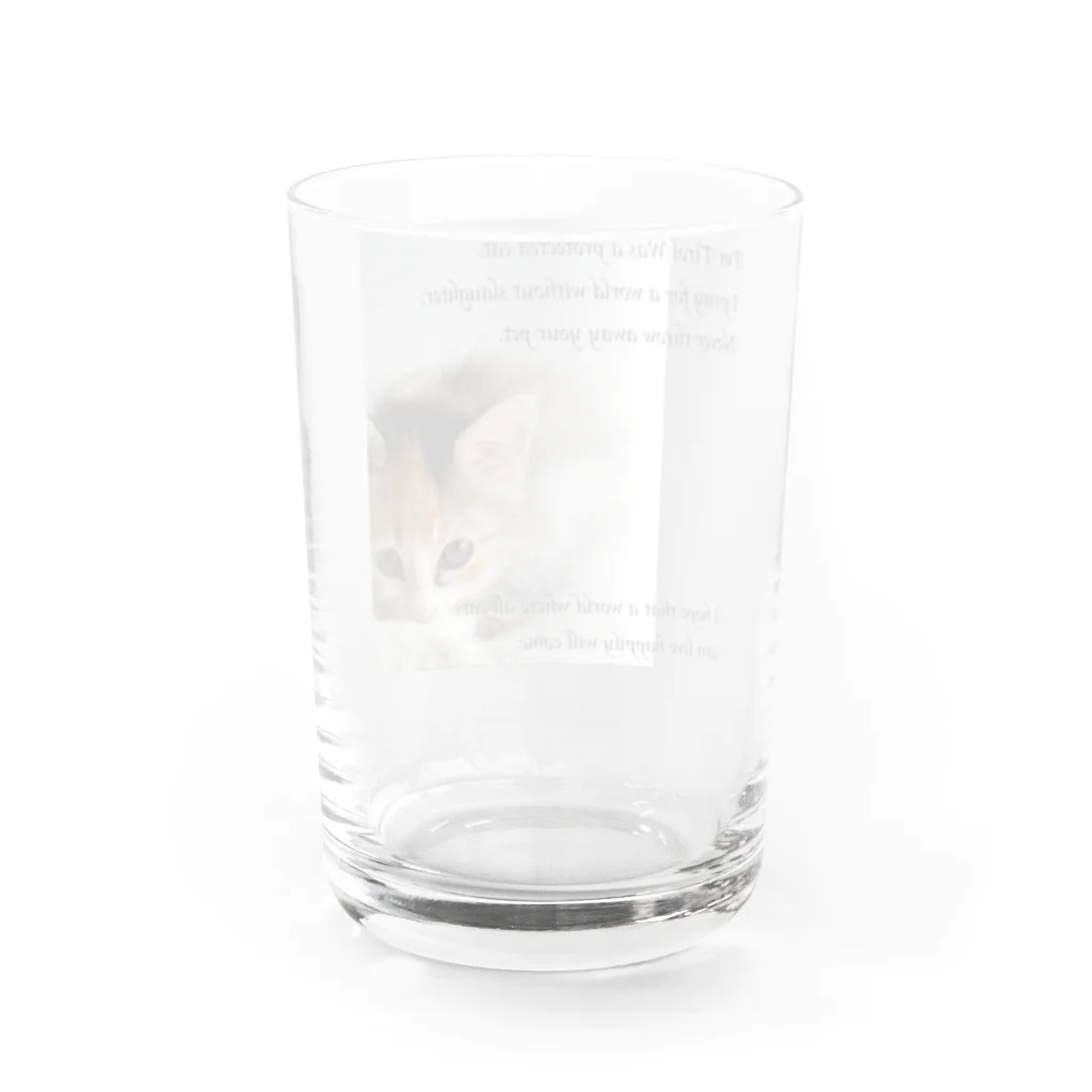 ピノとチロルのグッズ屋さんのチロルの幼少期写真(黒文字） Water Glass :back