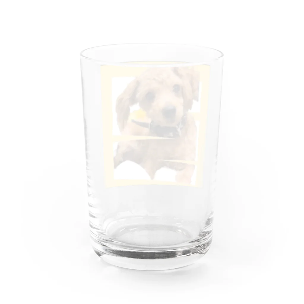 Ru.xxxのトイプードル☆Ru. Water Glass :back