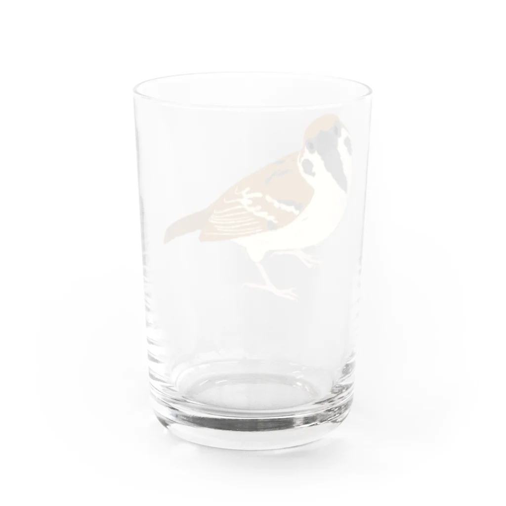 ストレイカルテット（Stray Quartet）のガブ（夏） Water Glass :back